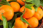 Mandarin Oil (Citrus Nobilis) 84